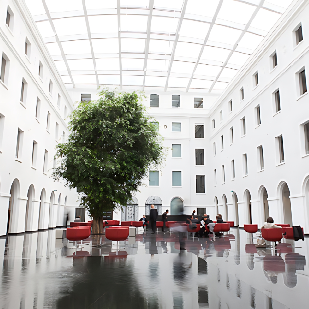 Progetto senza titolo (91)